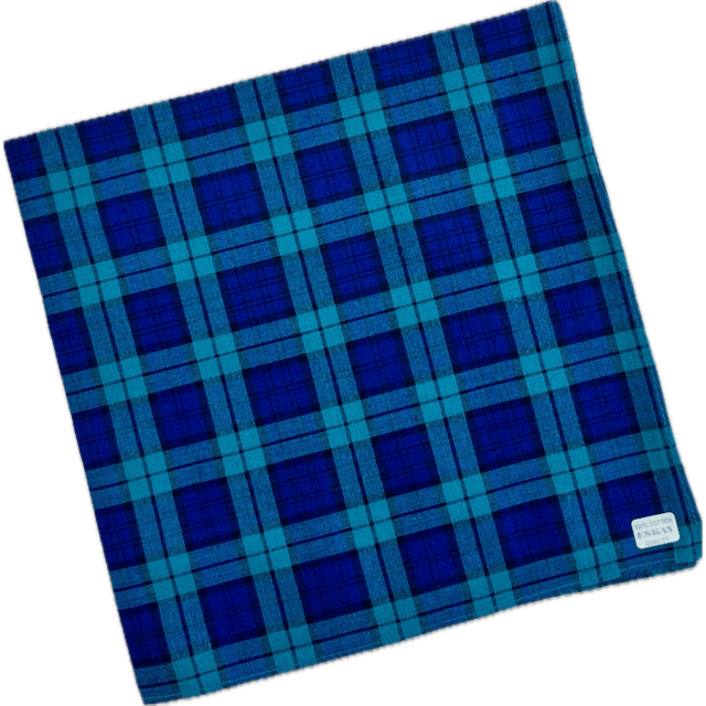 Eskay Cotton Handkerchief